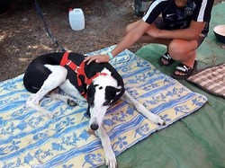 Vide grenier à Sanguinet le 15.08.2018