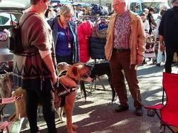 Vide-grenier à St André de Cubzac le 09.04.2017