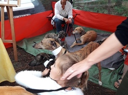 Vide-grenier à Taussat le 15.08.2017