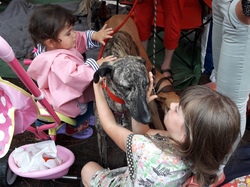 Vide-grenier à Taussat le 15.08.2017