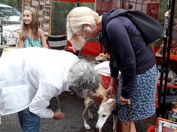 Vide-grenier à Taussat le 15.08.2017