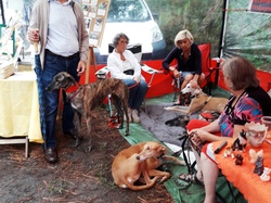 Vide-grenier à Taussat le 15.08.2017