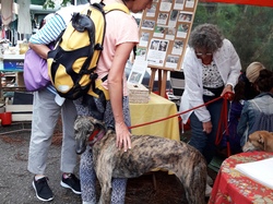 Vide-grenier à Taussat le 15.08.2017