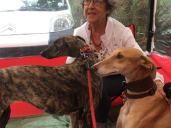 Vide-grenier à Taussat le 15.08.2017