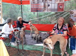 Vide-grenier à Taussat le 15.08.2017