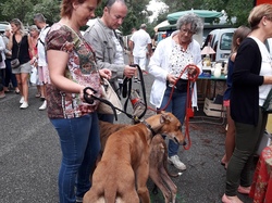 Vide-grenier à Taussat le 15.08.2017