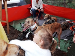 Vide-grenier à Taussat le 15.08.2017