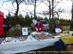 Vide grenier Cestas