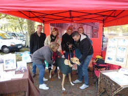 Vide-grenier d'Audenge le 17.10.2015