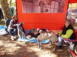 Vide-grenier d'Audenge le 17.10.2015