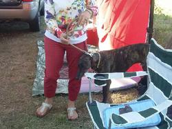 Vide-grenier Lanton les 13 & 14.08.2016