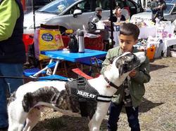 Vide-grenier le 01.05.2018 à Andernos les Bains