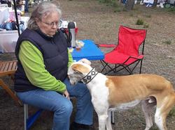 Vide-grenier le 01.05.2018 à Andernos les Bains