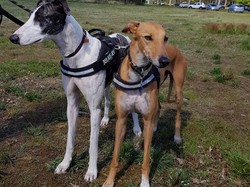 Vide-grenier le 01.05.2018 à Andernos les Bains