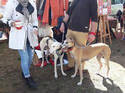 Vide-grenier le 01.05.2018 à Andernos les Bains