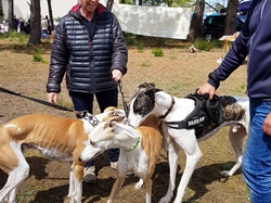 Vide-grenier le 01.05.2018 à Andernos les Bains