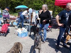 Vide-grenier le 20.04.2019 à Lanton