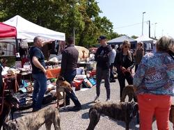 Vide-grenier le 20.04.2019 à Lanton