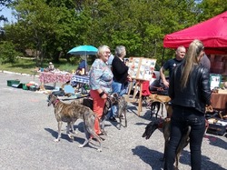Vide-grenier le 20.04.2019 à Lanton