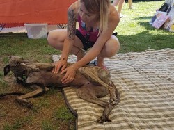 Vide grenier le 24.06.2018 à Gujan Mestras