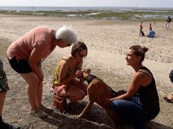 Vide grenier à Arès le 26.08.2017