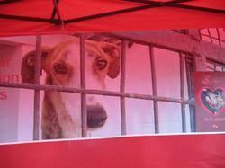 Vide grenier Taussat  14/08/2015