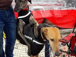 Vide-greniers le 11.03.2018 à St Médard en Jalles