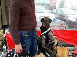 Vide-greniers le 11.03.2018 à St Médard en Jalles