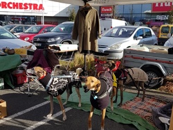 Vide-greniers le 11.03.2018 à St Médard en Jalles