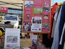 Vide-greniers le 11.03.2018 à St Médard en Jalles