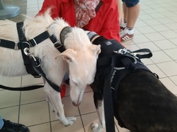 WE croquettes Jardiland le 21.05.2021