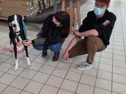 WE croquettes Jardiland le 21.05.2021