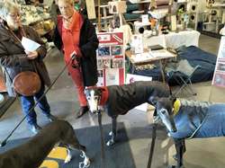 ZOOMALIA St Jean Illac le 15.02.2025